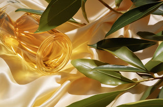 Jojoba Oil - Commen